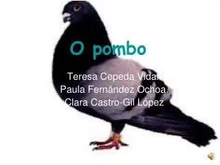 o pombo