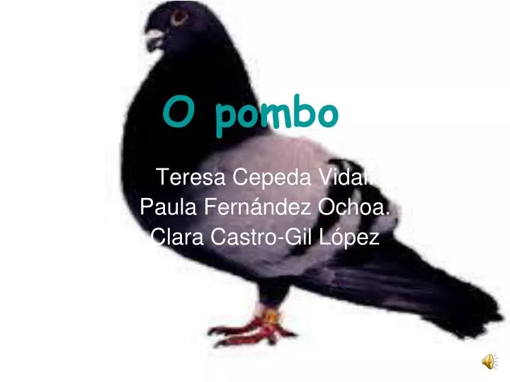 o pombo