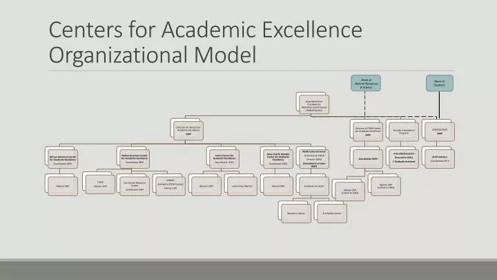 centers for academic excellence organizational model