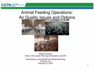 Animal Feeding Operations: Air Quality Issues and Options
