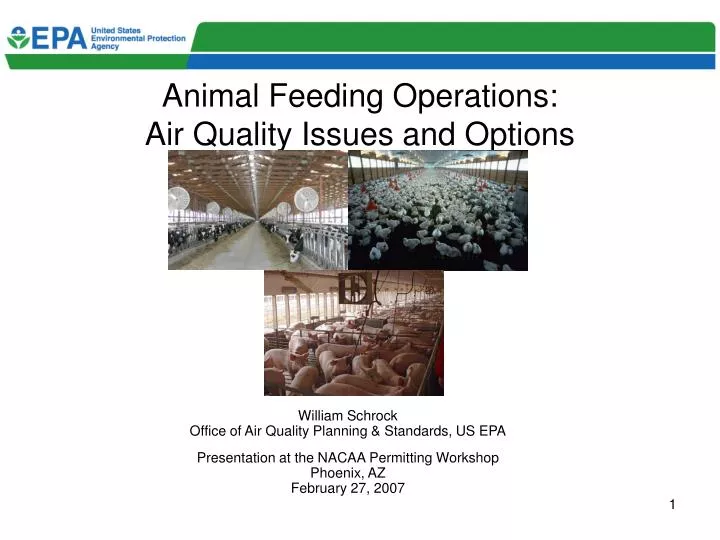 animal feeding operations air quality issues and options