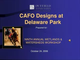 CAFO Designs at Delaware Park Prepared for: