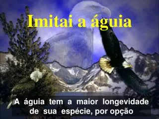 imitai a guia