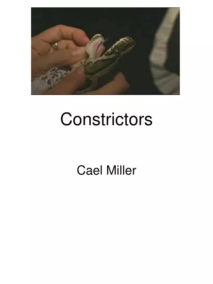 constrictors