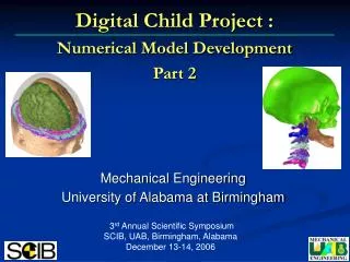 Digital Child Project : Numerical Model Development Part 2