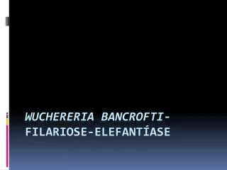 Wuchereria bancrofti - Filariose-Elefantíase