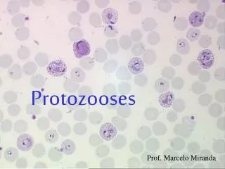 protozooses