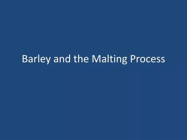barley and the malting process