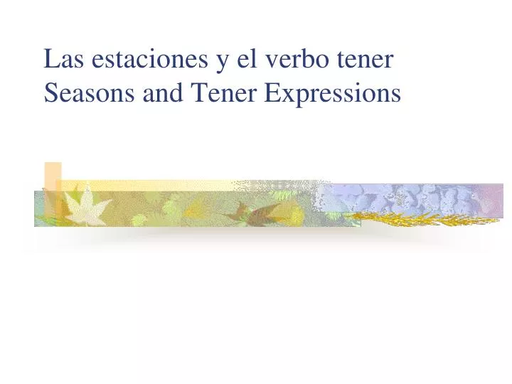 las estaciones y el verbo tener seasons and tener expressions