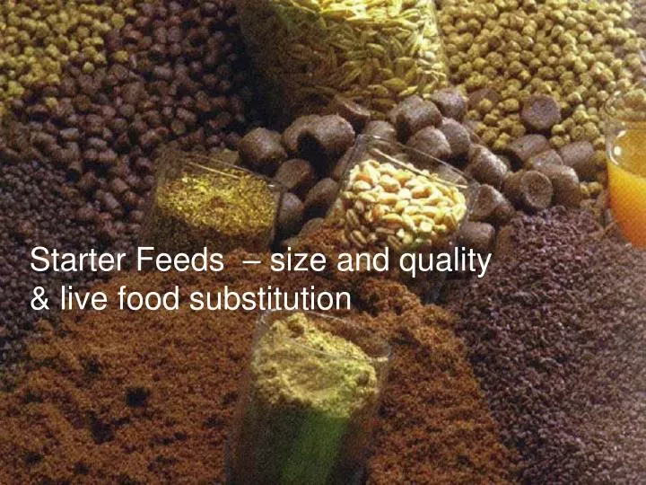 starter feeds size and quality live food substitution