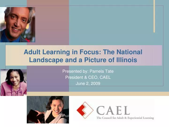 adult learning in focus the national landscape and a picture of illinois