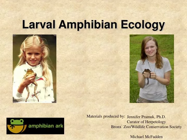 larval amphibian ecology