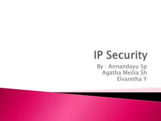 ip security