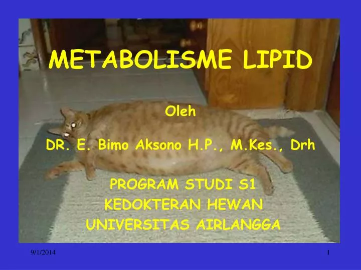 metabolisme lipid oleh dr e bimo aksono h p m kes drh