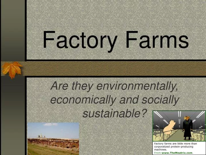 factory farms