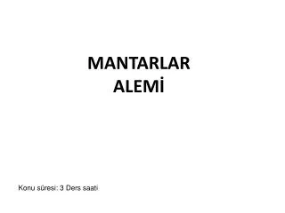 mantarlar alem