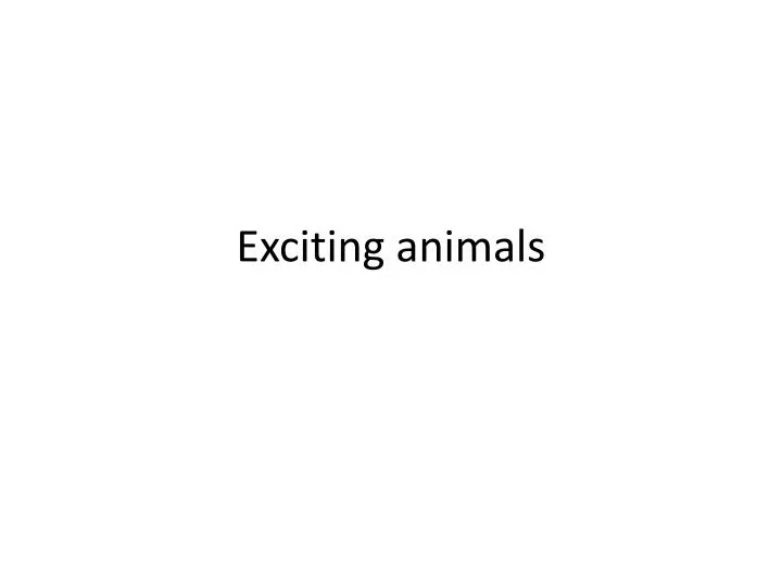 exciting animals