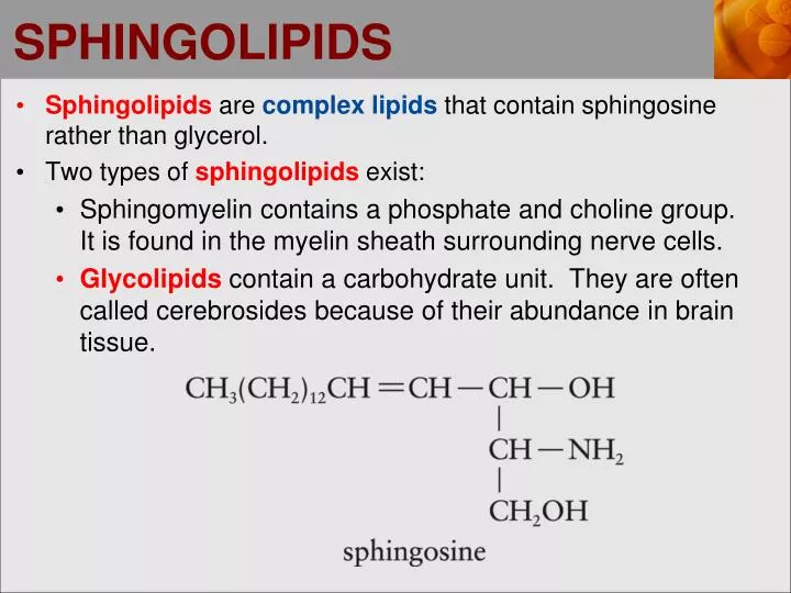 sphingolipids