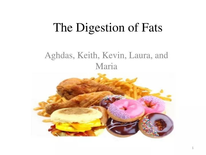 the digestion of fats