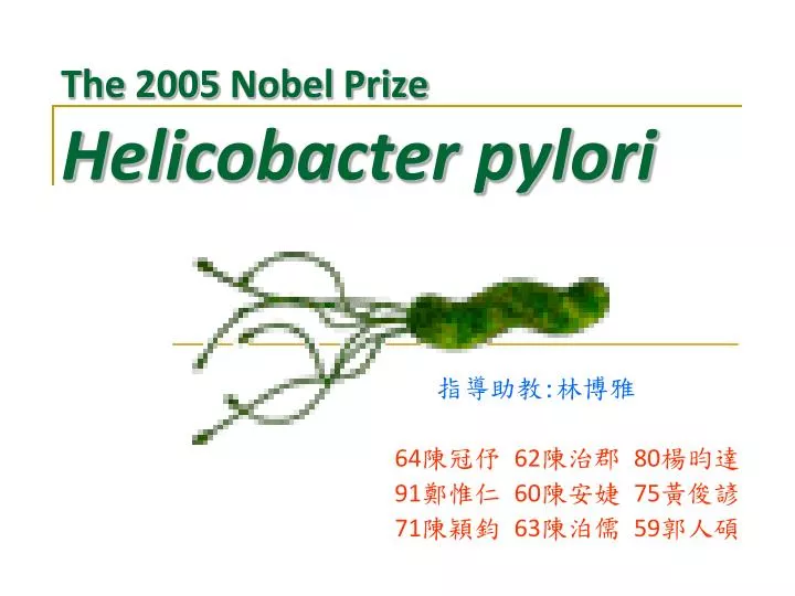 the 2005 nobel prize helicobacter pylori