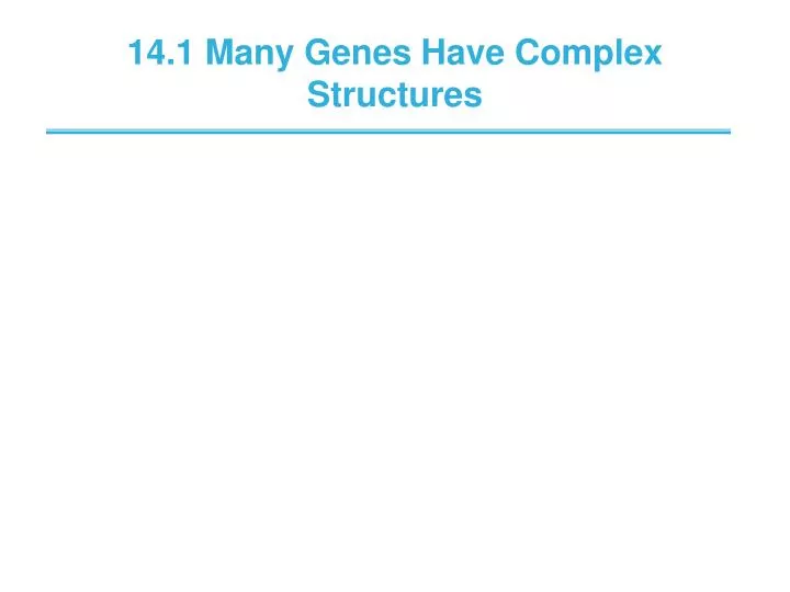 14 1 many genes have complex structures