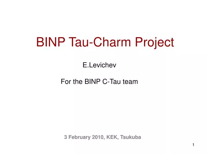 binp tau charm project