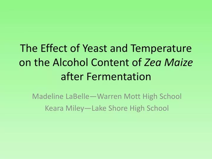 the effect of yeast and temperature on the alcohol content of zea maize after fermentation
