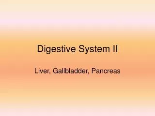 Digestive System II