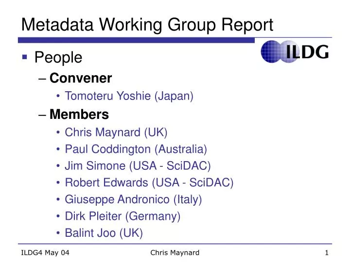metadata working group report