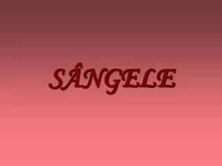 s ngele
