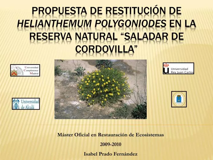 propuesta de restituci n de helianthemum polygoniodes en la reserva natural saladar de cordovilla