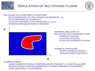Simulation of multiphase flows