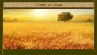 t rk ye de tarim