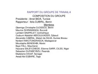 rapport du groupe de travail a