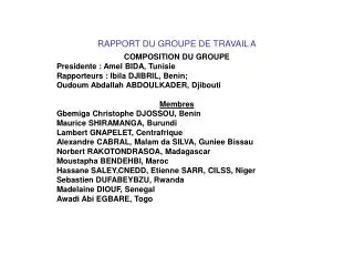 rapport du groupe de travail a