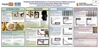 Modeling Salt Redistribution in Fractured Porous Media Caused by