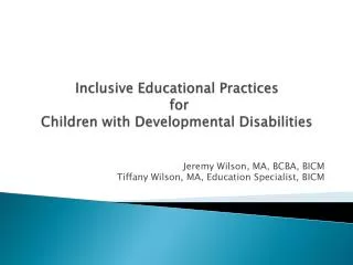 Inclusive Educational Practices for Children with Developmental Disabilities