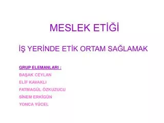 meslek et