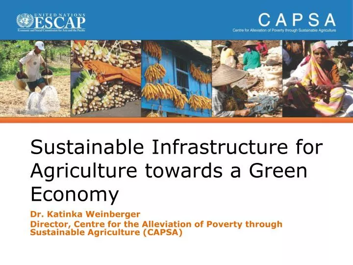 sustainable infrastructure for agriculture towards a green economy