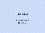 Pregnancy - slide 1