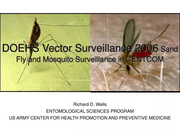 doehs vector surveillance 2006 sand fly and mosquito surveillance in centcom
