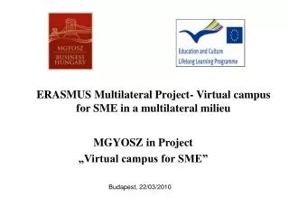ERASMUS Multilateral Project- Virtual campus for SME in a multilateral milieu