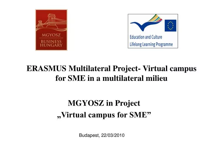 erasmus multilateral project virtual campus for sme in a multilateral milieu
