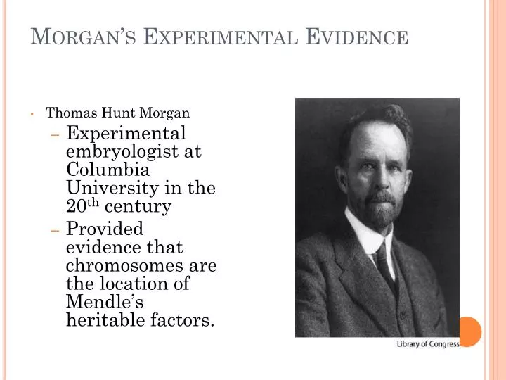 morgan s experimental evidence