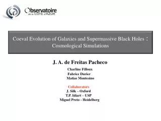 Coeval Evolution of Galaxies and Supermassive Black Holes : Cosmological Simulations