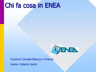 chi fa cosa in enea