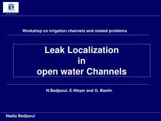 Leak Localization in open water Channels