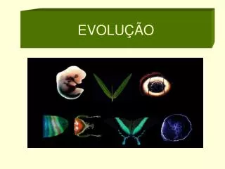 evolu o
