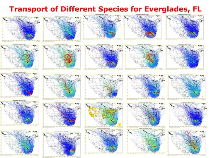 transport of different species for everglades fl