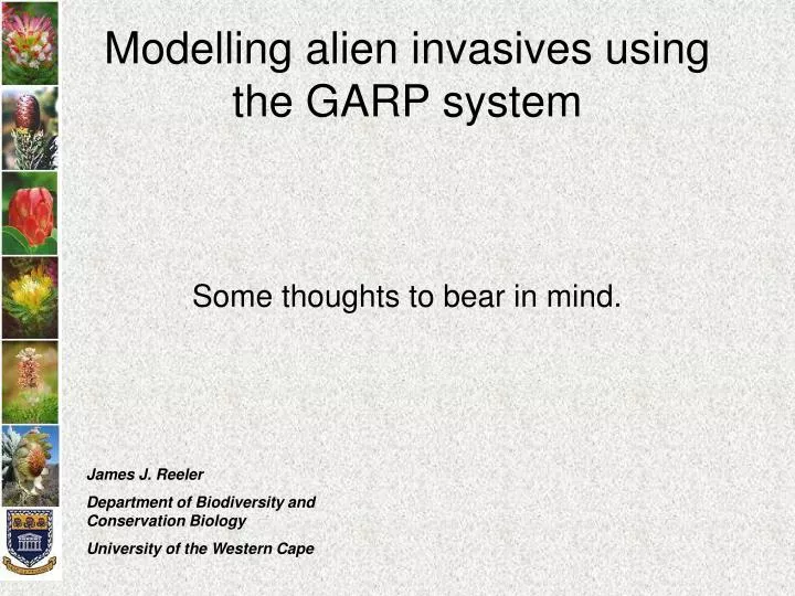 modelling alien invasives using the garp system